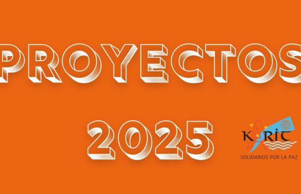 Proyectos 2025