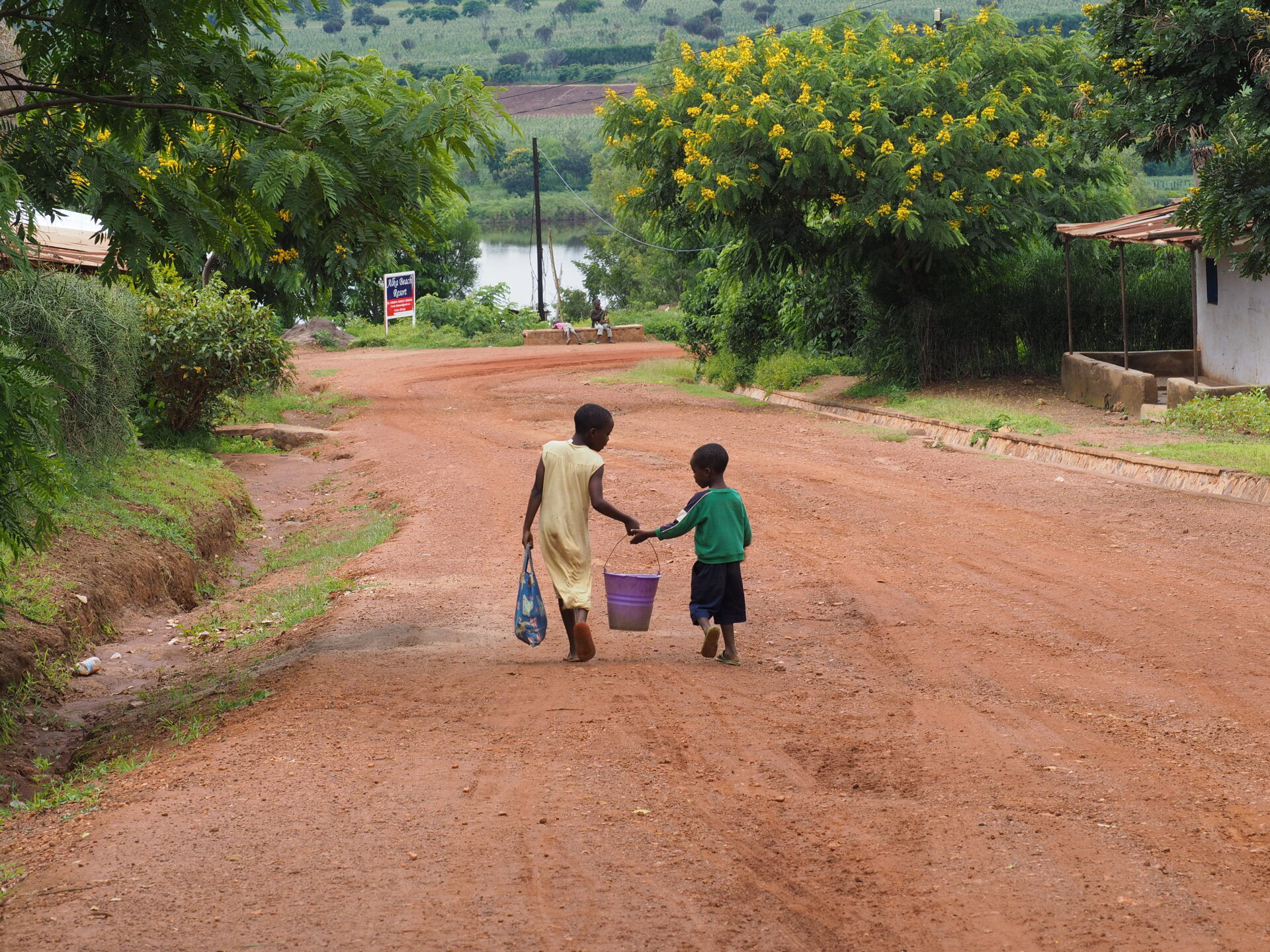 Escuchar la creación: por qué Karit celebra el día de la naturaleza