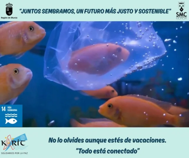 En vacaciones, tambien cuidamos el Planeta. Es un compromiso de todos y todas. No lo olvides. Todo está conectado.

#karitsolidariosporlapaz #conpocomucho #fraternidadquetransforma